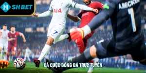 Cá Cược Bóng Đá Trực Tuyến - Loại Hình Hot Nhất SHBET 