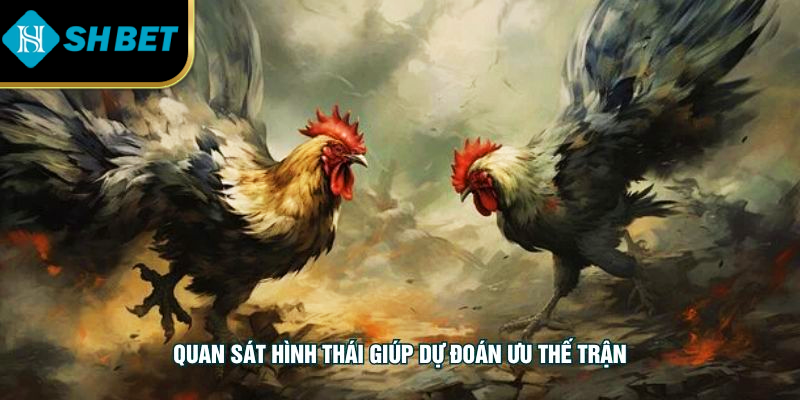 Quan sát hình thái giúp dự đoán ưu thế trận
