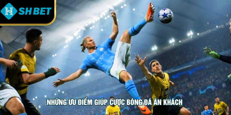 Những ưu điểm giúp cược bóng đá ăn khách