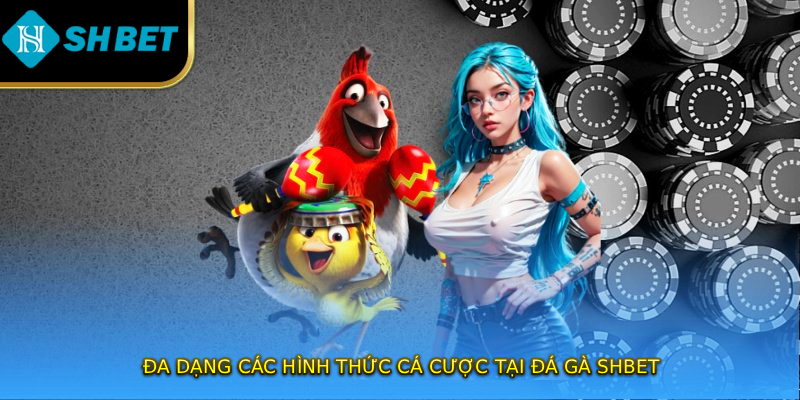 Đa dạng các hình thức cá cược tại đá gà SHBET