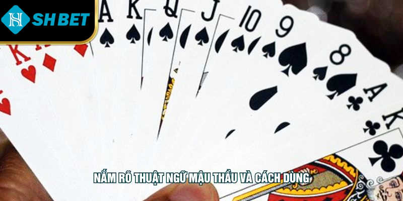 Nắm rõ thuật ngữ mậu thầu và cách dùng