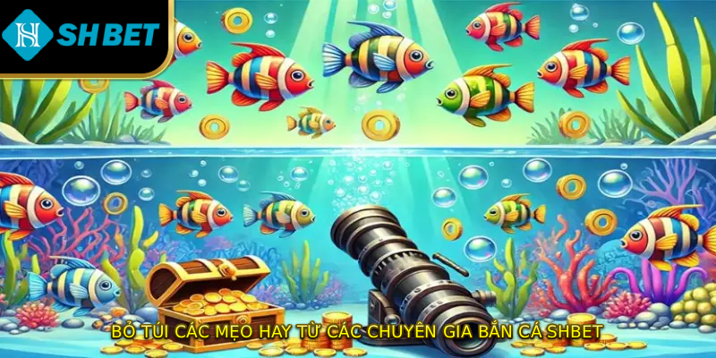Bỏ túi các mẹo hay từ các chuyên gia bắn cá SHBET
