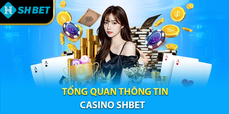 Tổng quan thông tin casino SHBET